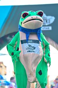 BIB: 
                            <button type="button" onclick="openModal(24886319)" class="btn btn-primary btn-sm float-right btn-popup" data-toggle="modal" data-target=".modal-high-quality">
                        <i class="fas fa-shopping-cart"></i> Add to Cart
                    </button>
                                            <button type="button" onclick="isThisMe(24886319, true)" class="btn btn-success btn-sm float-right btn-popup btn-isme hidden" data-toggle="tooltip" data-placement="bottom" title="นี่คือรูปของคุณใช่ไหม คลิกที่นี่เพื่อเอาเข้าอัลบั้ม">
                        <i class="fas fa-plus"></i> Add to album
                    </button>
                    <button type="button" onclick="isThisMe(24886319, false)" class="btn btn-warning btn-sm float-right btn-popup btn-isnotme hidden">
                        <i class="fas fa-ban"></i> Remove from album
                    </button>